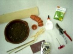 BastelKressebeet7